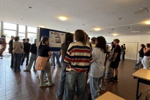 IMG_3911 2
